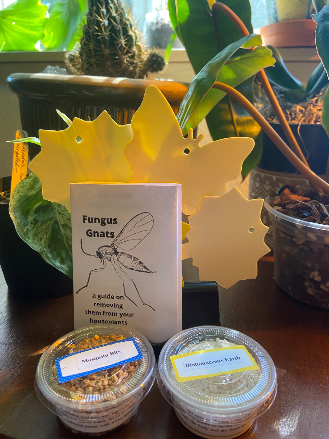 Fungus Gnat Kit